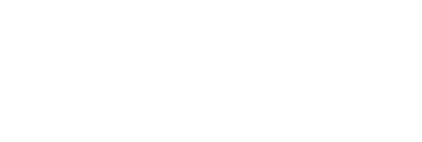 Dimension Polyant